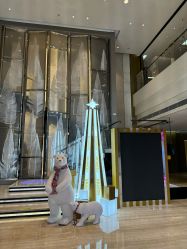 -四川米兰柏羽医学美容医院
