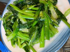 清炒菜心-渔家大院·地道威海菜(石岛店)