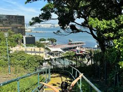 -讯号山花园
