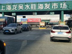 -上海龙吴水胜海发市场