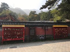 -阳台山自然风景区