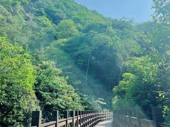 -凤栖山