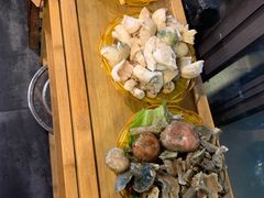 -易门野生菌府·菌海森林(月牙潭公园店)