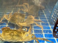 -圣罗巴海鲜自助(黑金店)
