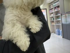 -天宠宠物医院24小时·急重症诊疗中心·全科·腔镜特色(和平分院)