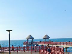 -养马岛旅游度假区