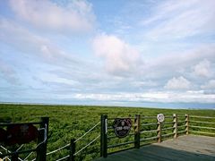 -北海金海湾红树林生态旅游区