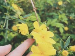 -枫香湖儿童公园