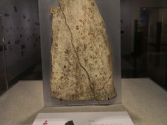 -北京大学赛克勒考古与艺术博物馆