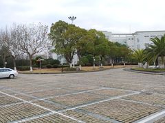 -上海第二工业大学(金海路校区)