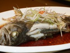 清蒸鲈鱼-登瀛楼(鼓楼店)
