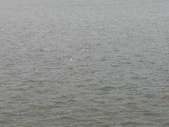 -人民防洪胜利纪念塔