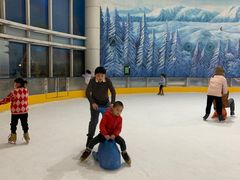 -世界之窗阿尔卑斯冰雪世界
