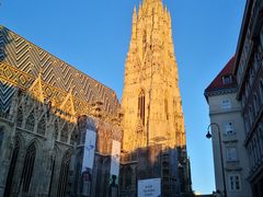 -斯蒂芬主教座堂(Stephansdom)