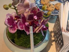 -成隆行·蟹王府(淮海店)