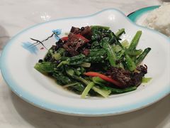 -东北本家小厨(海甸三东路店)