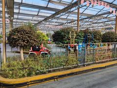 -南宫五洲植物乐园