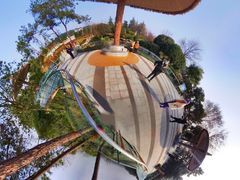 -铁山坪森林公园