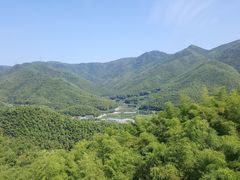-宁波浙东大竹海景区
