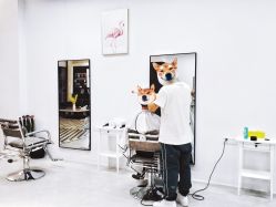 大厅-ASA HAIR SALON