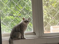 -平行世界·猫咖(首经贸店)