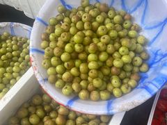 -南坛综合农贸市场