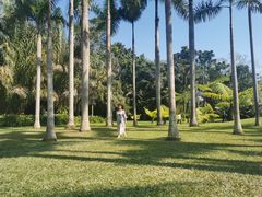 -中国科学院西双版纳热带植物园