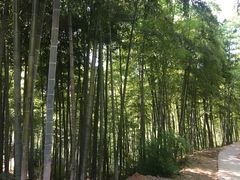 -藏龙百瀑风景区