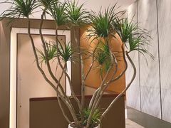 -润泽天·湘味家宴(岳麓山店)