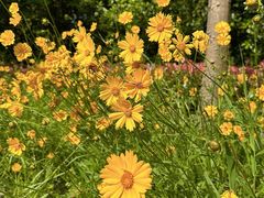 -昆山城市生态森林公园