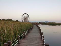 -苏州太湖湖滨国家湿地公园