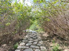 -马家湾湿地公园