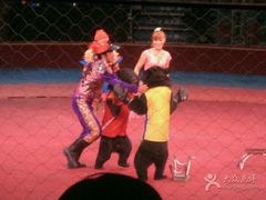 -环球城国际大马戏