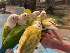 -西霞口神雕山野生动物世界