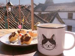-喵屿·大理花园猫咖