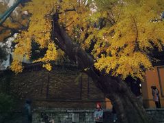 -无锡惠山寺