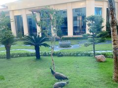 -惠州金海湾嘉华度假酒店