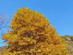 -秦岭终南山世界地质公园翠华山景区