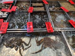 -湛江渔港·大排档(乐园路总店)