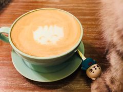 -猫色咖啡·猫咖