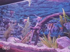 -上海海洋水族馆