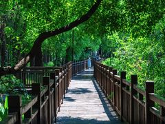 -东湖落雁景区