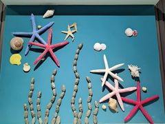 -青岛贝壳博物馆