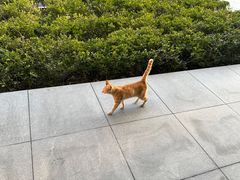 -德懋恭(西大街店)