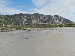 -北岐滩涂