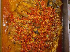 油泼香辣-鱼酷活鱼烤鱼(沈阳大悦城店)