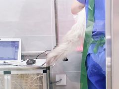 -宠福鑫康馨动物医院·骨科·眼科