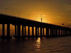 -宝安西湾红树林湿地公园