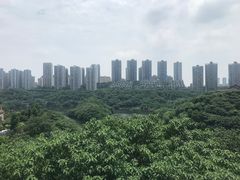 -重庆彩云湖湿地公园