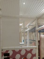 -超级奈尔宝SUPER NEOBIO(杭州星光店)